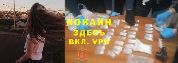 прущие грибы Верхнеуральск